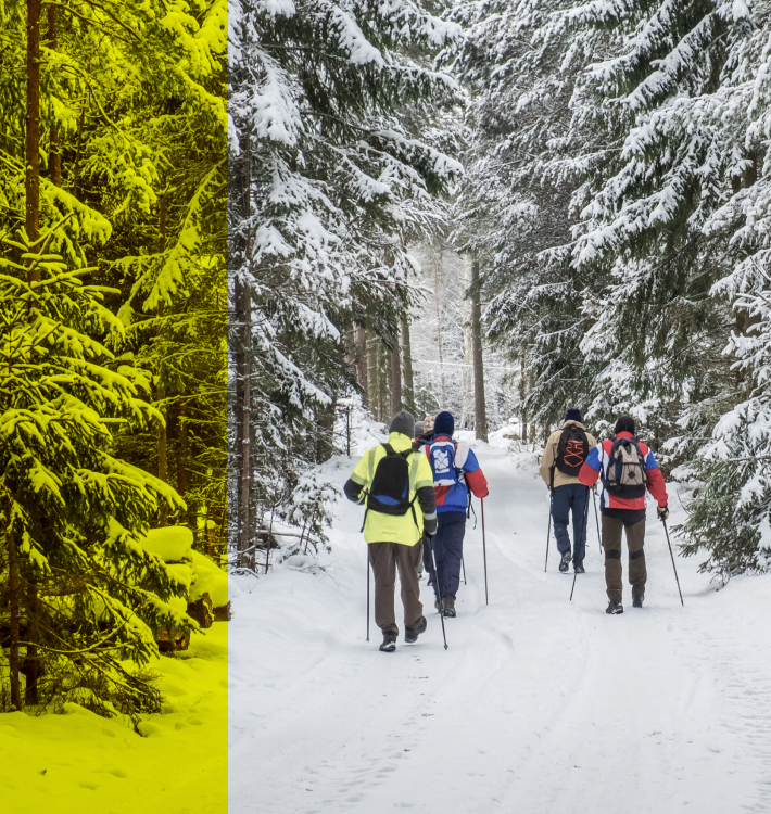 Cosa si può fare in montagna in inverno se non si scia?